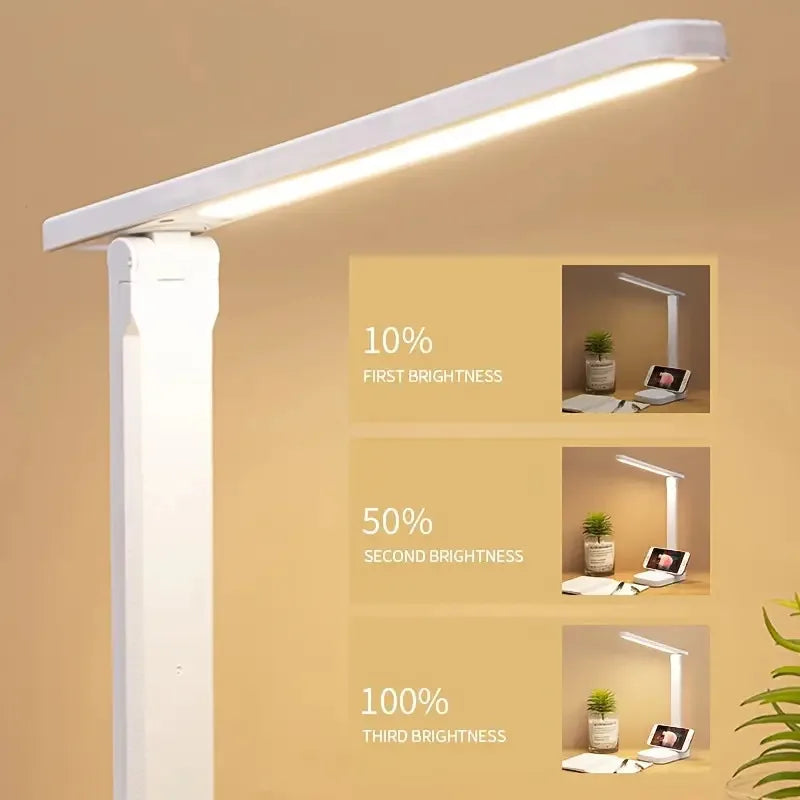 Adjustable LED Brightness