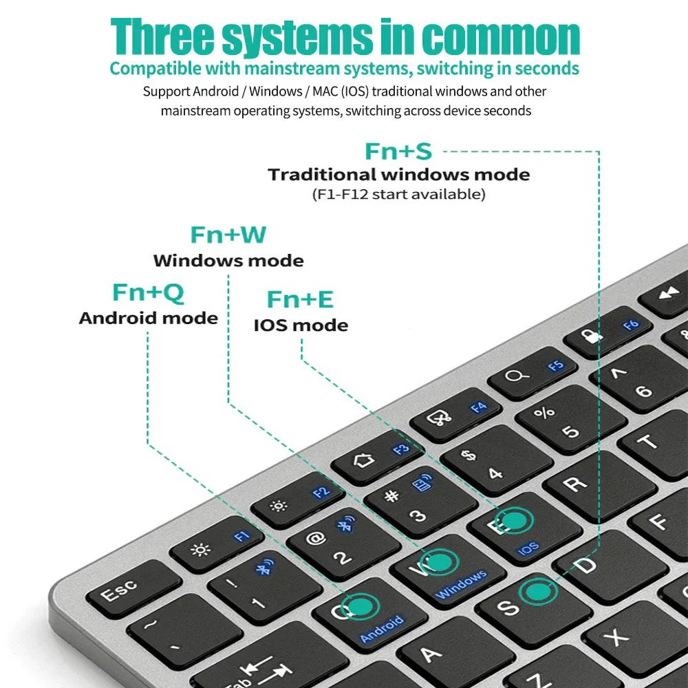Bluetooth & 2.4G Connection